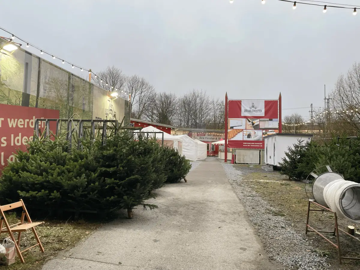 Vor-Ort-Auswahl an frisch geschlagenen Weihnachtsbäumen zum Mitnehmen